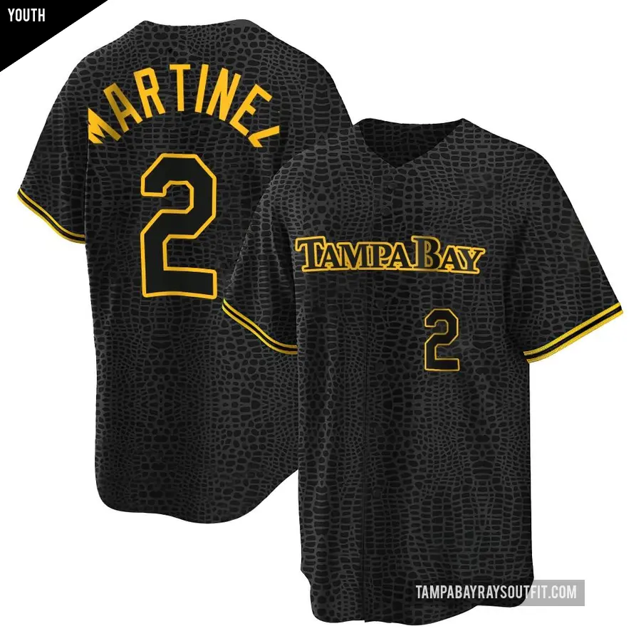 Youth Tampa Bay Rays ＃2 Michael Martinez Replica Black Snake Skin City Jersey